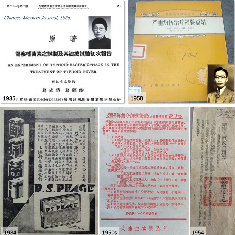 噬菌体治疗历史和现状2.png 全球噬菌体治疗研究与商业化进展【创噬纪】 · 配图